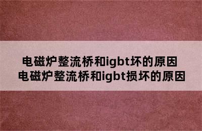 电磁炉整流桥和igbt坏的原因 电磁炉整流桥和igbt损坏的原因